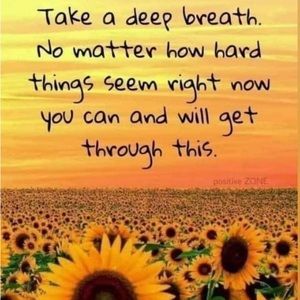 Meet your Posher, Dalen